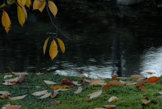c0093046_6591758.jpg