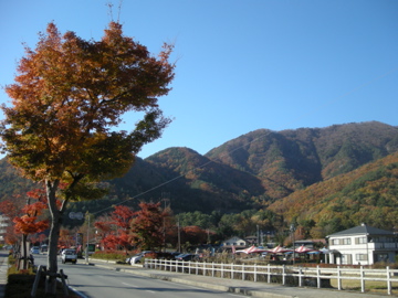 f0142953_19786.jpg