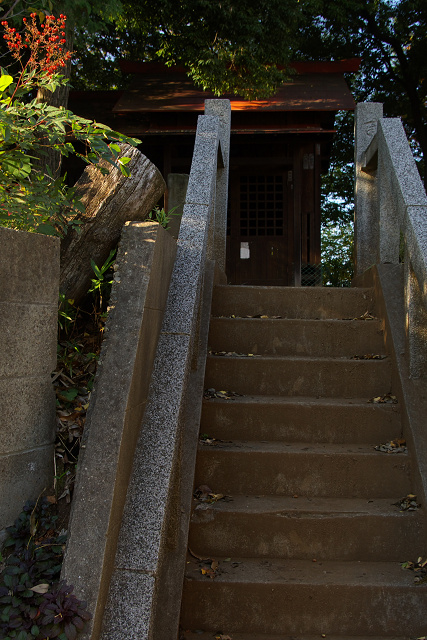 c0080357_156089.jpg