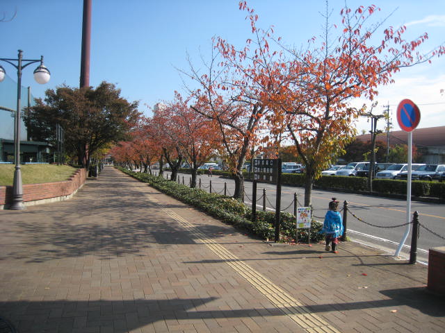 後5ヶ月なのね・・・_f0109257_025465.jpg