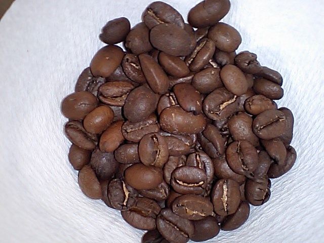 d0125059_8432472.jpg