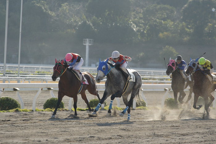 2007年11月17日（土） 高知競馬 7R 直輝７才誕生日特別_a0077663_19552277.jpg