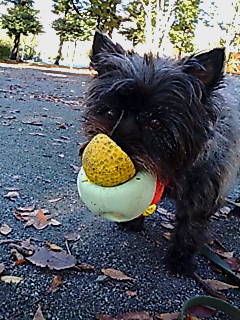 e0030663_23323772.jpg