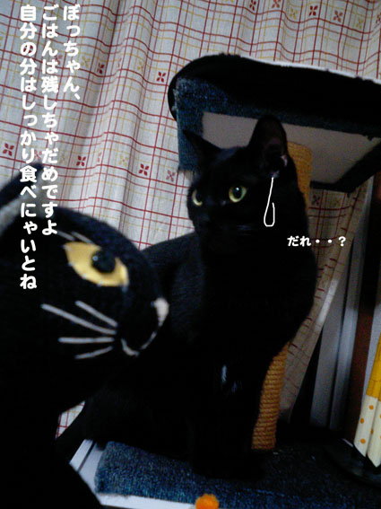 a0084070_2153872.jpg