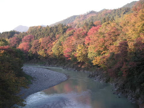 f0128076_90159.jpg