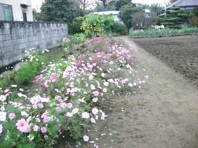 c0078480_1933460.jpg