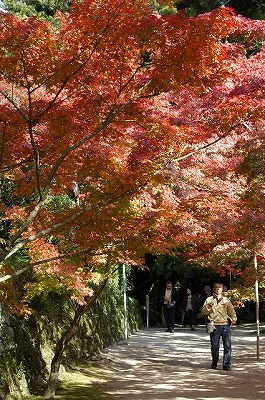 a0082884_16165998.jpg