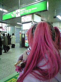 今日はこりから_b0088086_1524695.jpg