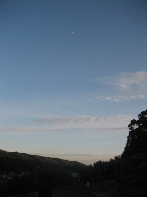 d0020686_1949372.jpg