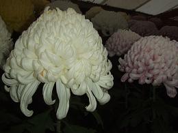 c0138908_16193259.jpg