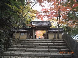 f0110413_14262915.jpg