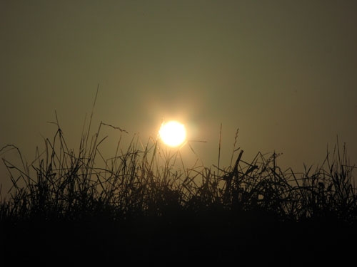 c0149814_15970.jpg