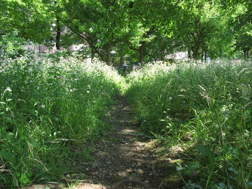 c0149814_19067.jpg