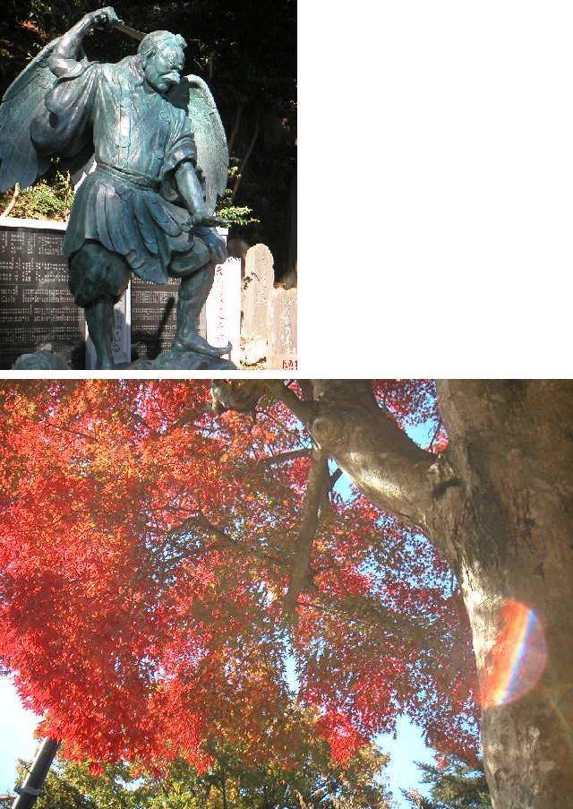 高尾山　いろは詩_b0093221_814458.jpg