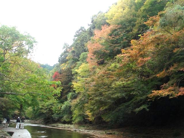 紅葉報告♪～養老渓谷と晩ごはんも～_b0102728_1123517.jpg