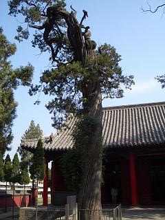 d0114242_351831.jpg