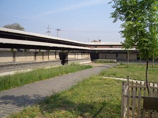 d0114242_514531.jpg