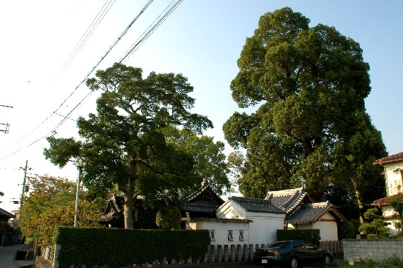 　　津秦天満宮 （つはた）_b0093754_0114818.jpg