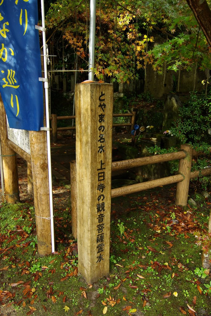 氷見～氷見はどこじゃ～！？上日寺（黄色い世界）2_c0113059_22142777.jpg