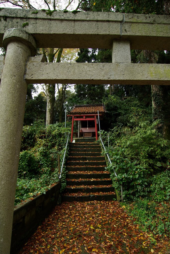 氷見～氷見はどこじゃ～！？上日寺（黄色い世界）2_c0113059_22174178.jpg