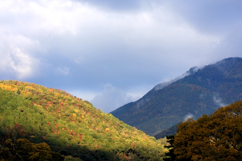 紅葉の嵐山_c0139960_1344105.jpg