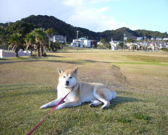 2007年11月22日(木)パパ早く来ないかな!_f0060461_216147.jpg