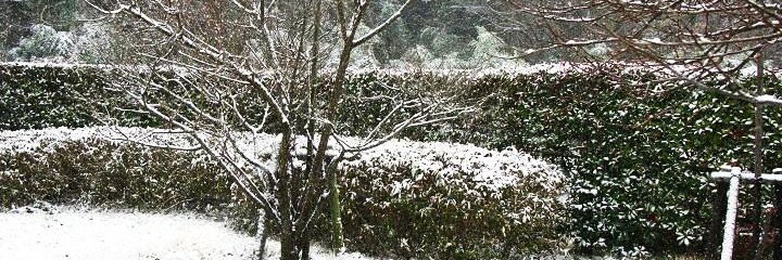 郡山に出張_c0129671_21205957.jpg