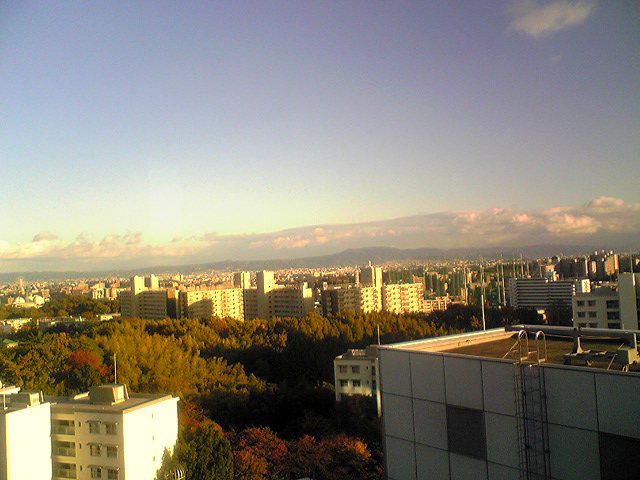 c0107075_23401866.jpg