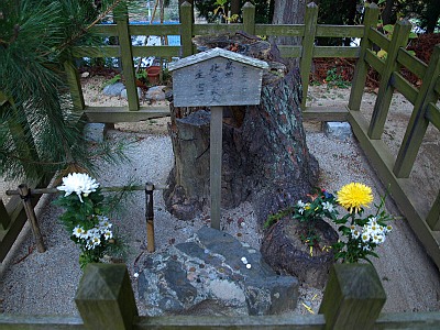 d0050693_105596.jpg