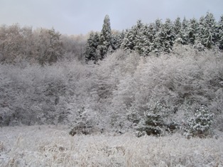 c0099395_13204644.jpg