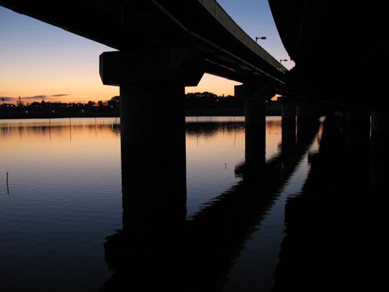 e0064400_2053997.jpg