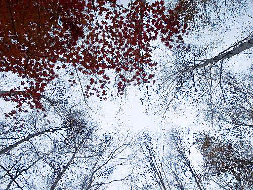 c0008502_23173497.jpg