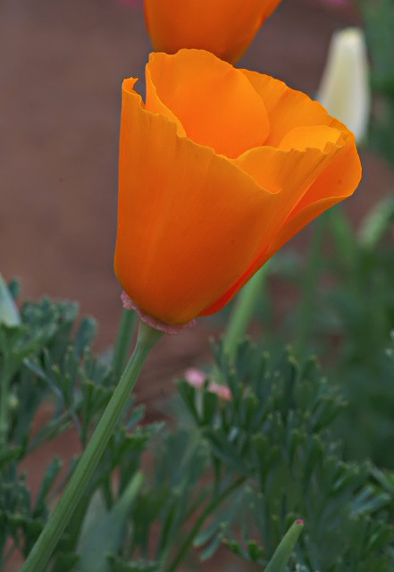 e0039703_0163059.jpg