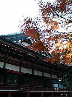 f0127408_20495139.jpg