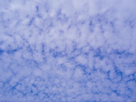 f0043911_14103084.jpg