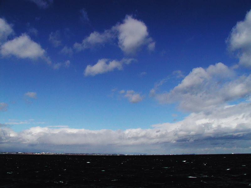 a0030713_2045196.jpg