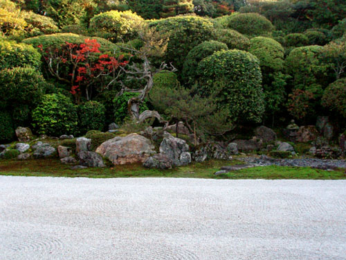 南禅寺2　金地院_e0048413_2133448.jpg