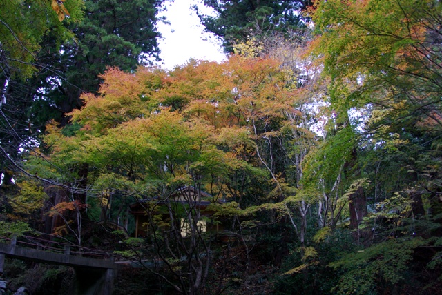 e0111217_2315475.jpg