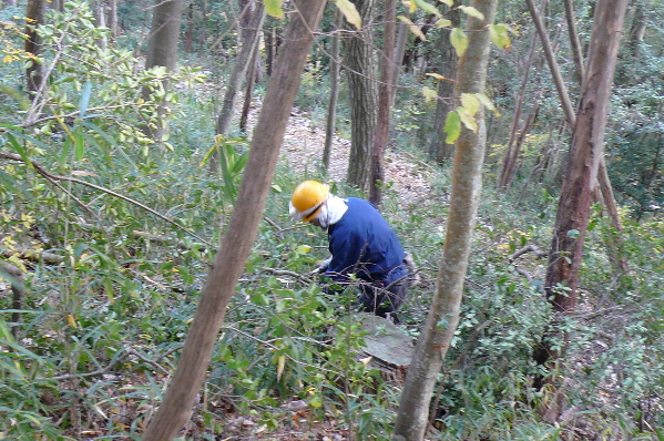 d0024426_839404.jpg