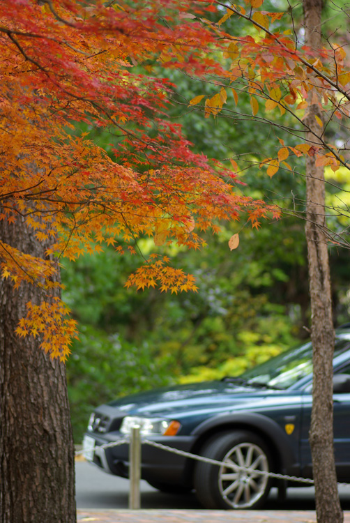 Autumn。ぶらり。Kyoto。_b0113533_23404719.jpg