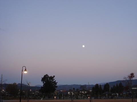 旅猫 その3_a0014840_2353771.jpg