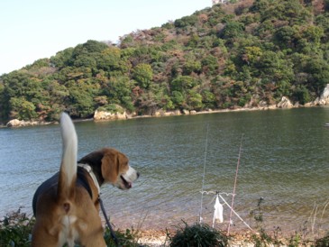 c0119142_0455433.jpg
