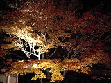 c0017046_23115340.jpg