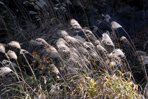 c0093046_16341494.jpg