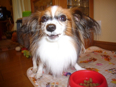 e0100046_00887.jpg