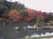 b0021048_23265336.jpg