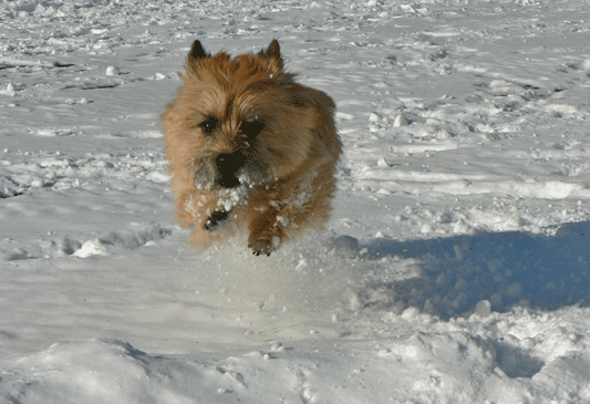 c0147548_2104280.gif