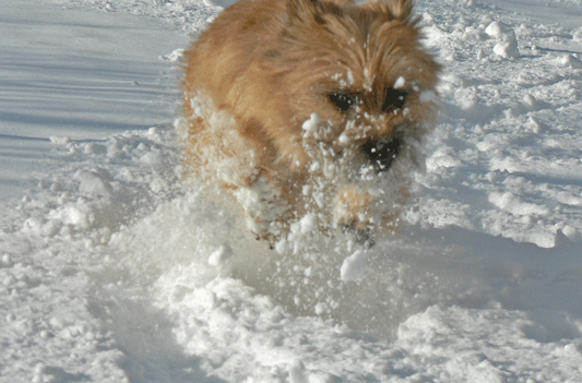 c0147548_2115221.gif