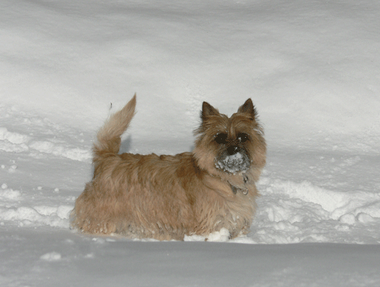 c0147548_2185380.gif
