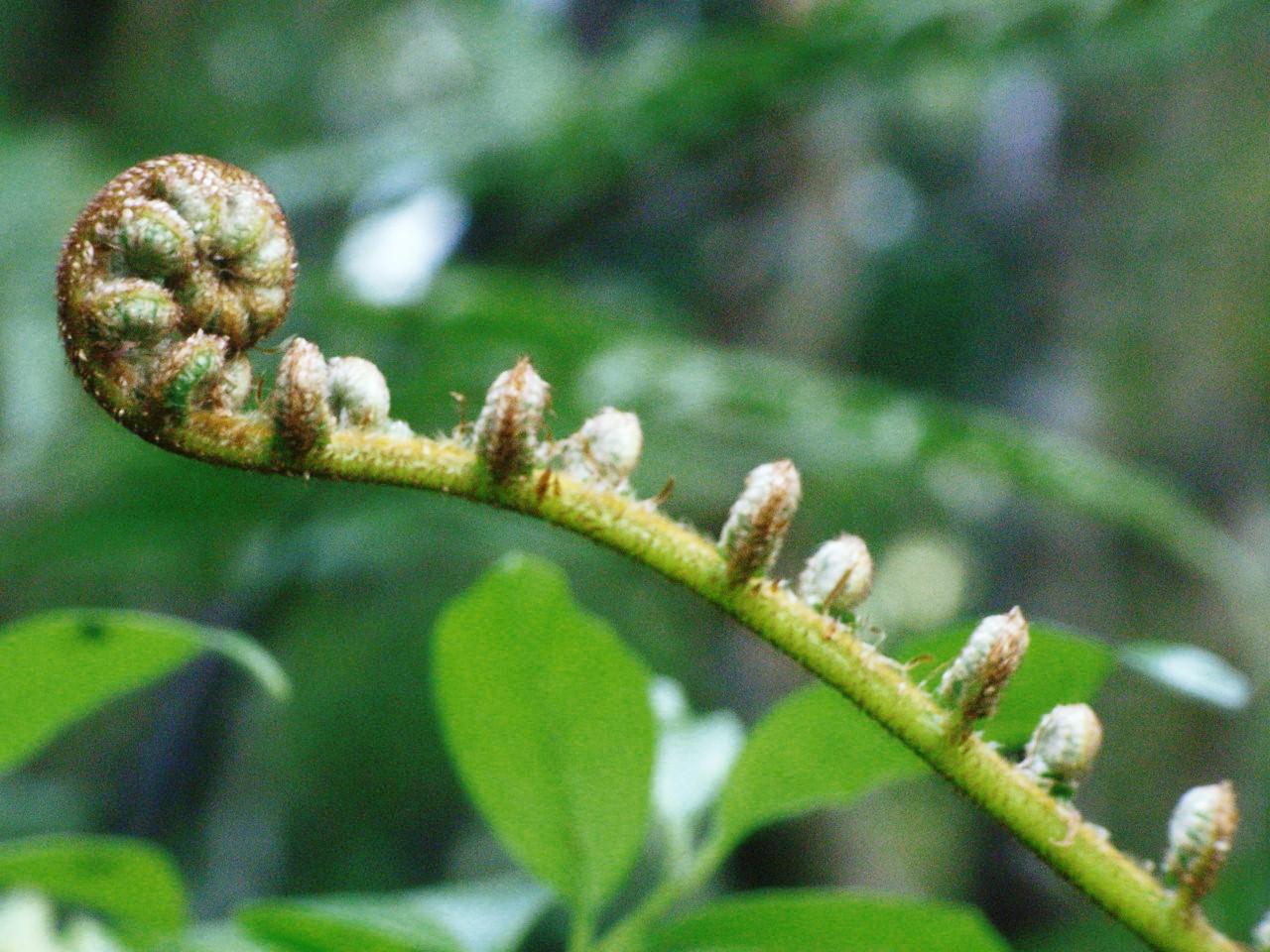 c0145750_0491412.jpg